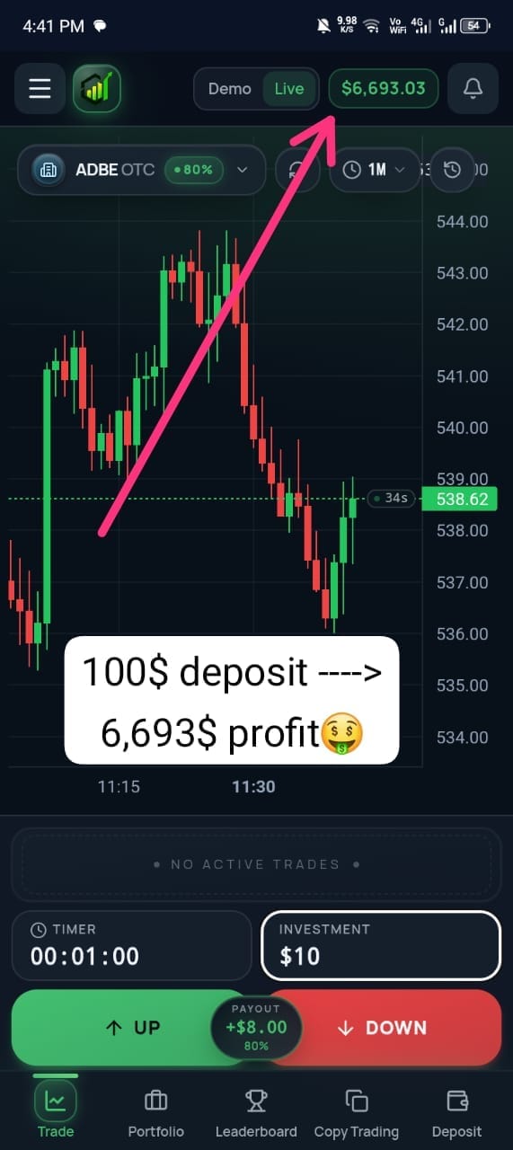 $100 deposit turned into $6,693 profit